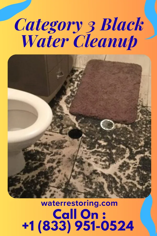Category 3 Black Water Cleanup in Remerton, GA